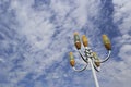 Street light against blue sky and white cloud Royalty Free Stock Photo