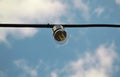 Street light. Blue sky. White clouds. Foreground. Background