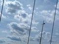 Cloudscape with bridge cables and high voltage electrical cables Royalty Free Stock Photo