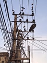 Street light with chaotic tangle of overhead electrical wires and birds roosting in South Bengkulu, indonesia