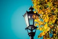 Street light in fall colours