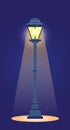 Street light is isolated. Garden lantern is illuminating park, square at night. Urban bulb element, city lamp on empty road Royalty Free Stock Photo