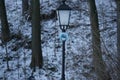 Street light lamp near the trees Royalty Free Stock Photo