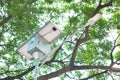 street light lamp with solar panel in park Royalty Free Stock Photo