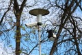 Street light on metal post with mounted surveillance camera and various measuring devices with clear blue sky and trees in back