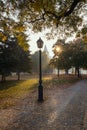 Street light and morning sun shining through the trees in Budapest city park in autumn Royalty Free Stock Photo