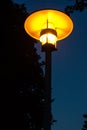 Street light night view orange light with tree Royalty Free Stock Photo