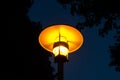 Street light night view orange light with tree Royalty Free Stock Photo