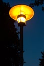 Street light night view orange light with tree Royalty Free Stock Photo