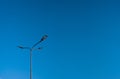 The street light pole with a blue sky background - Automatic street twin lamp against the blue sky with copy space Royalty Free Stock Photo