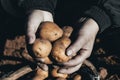 the ground under your feet. A man holds potatoes in his hands