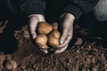 the ground under your feet. A man holds potatoes in his hands