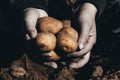 the ground under your feet. A man holds potatoes in his hands