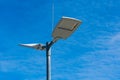 Street lighting lamps on a metal pole. Against a blue sky with light clouds Royalty Free Stock Photo