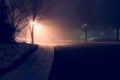 Street lights foggy misty night lamp lanterns at empty city