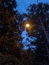 Street lights vibe Royalty Free Stock Photo