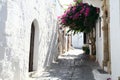 Street of Lindos town in Rhodes island