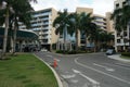 Street lined with palm trees, modern buildings and hotels in downtown of Nassau, Bahamas, on a one of Caribbean island. Royalty Free Stock Photo