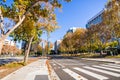 Street lined up with Sycamore trees close to downtown San Jose Royalty Free Stock Photo