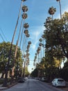 Street in Los Angeles California Royalty Free Stock Photo