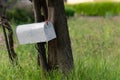 Street mailbox on a tree