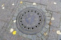 Street manhole cover with the image of landmarks in Berlin