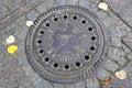 Street manhole cover on the paving stones in Berlin, Germany