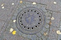 Street manhole cover on the paving stones in Berlin, Germany