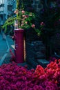 a street with many different types of flowers around it and a red fire hydrant Royalty Free Stock Photo