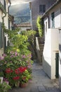 Street in Marciana town with flowering plants