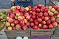 Street market of fresh red garden apples fruits in wooden boxe Royalty Free Stock Photo