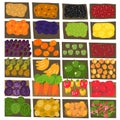 Street market. Pattern background. Fruits and vegetable shop. Sketch set. Hand drawn. Vector. Royalty Free Stock Photo