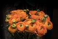 Street market show case top view bouquet of orange ranunculus