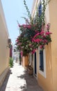 Street in Chalki island Royalty Free Stock Photo