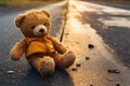 On the street, a melancholic teddy bear hopes to find home