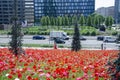 Street Melchiorre Gioia, Milan. Bam. Flowering meadows with poppies. Flowering. Milan. Italy