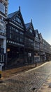 Street of modern, black houses, vertical