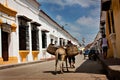Street in Mompos, Colombia Royalty Free Stock Photo