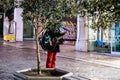 A street musician behind an olive tree in Ermou street