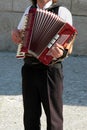 Street musician - harmonist