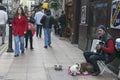 Street musician playing the accordion, with the dog Royalty Free Stock Photo