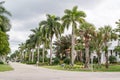 Street in Naples, Florida, USA