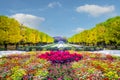 Street nearby Meiji Jingu Gaien that has beautiful Ginkgo along Royalty Free Stock Photo