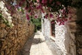 Street in Old Datca, Mugla, Turkey