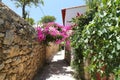 Street in Old Datca, Mugla, Turkey