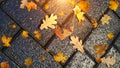 Wet asphalt city night raindrops water reflection autumn leaves  fall season street evening light blurred  light evening backgroun Royalty Free Stock Photo