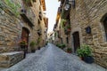 Street of an old medieval town with stone houses and cobbled floors, street lamps and an atmosphere of bygone times Royalty Free Stock Photo