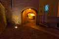 Street in old Tallinn by night Royalty Free Stock Photo