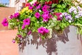 The street in the old town of Tartu decorated with flowers Royalty Free Stock Photo