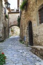 Street of the old town in Tuscany Royalty Free Stock Photo